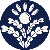 Illustrated flower