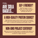 Snack Size Chocolatey Chip Bagels